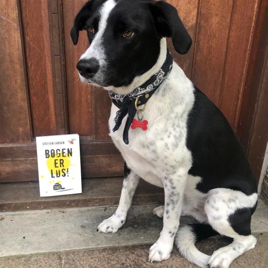 En sort og hvid hund med halsbånd og rød refleksbrik, formet som et kødben, sidder pænt ved siden af Steffen Larsens bog "Bogen er løs!".
