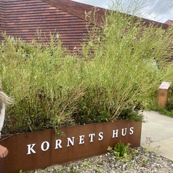 Et foto af Kornets Hus med grønne planter foran