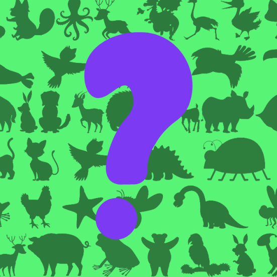 silhuetter af forskellige dyr dækket af et stort spørgsmålstegn
