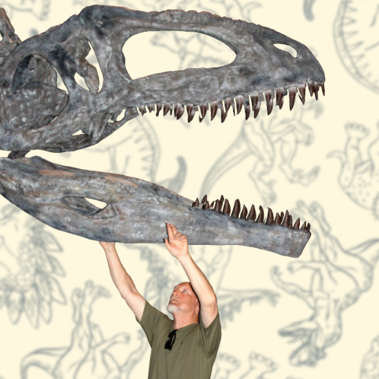 Mand der står under et skelet af en dinosaur