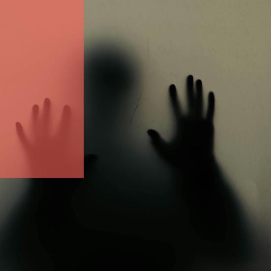 Noget, der ligner Jussi Adler-Olsen