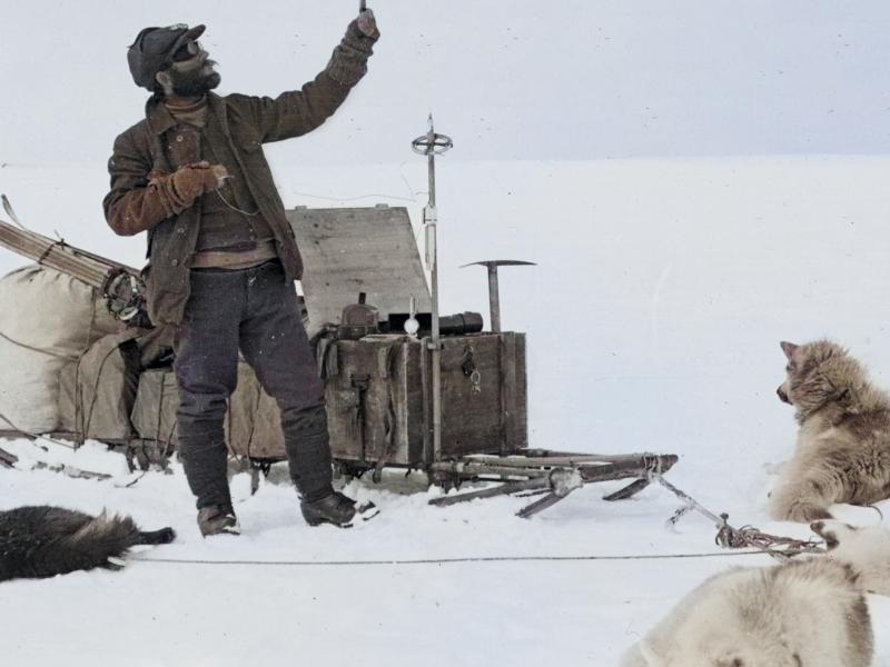 Grøndlandsfarer med slædehunde