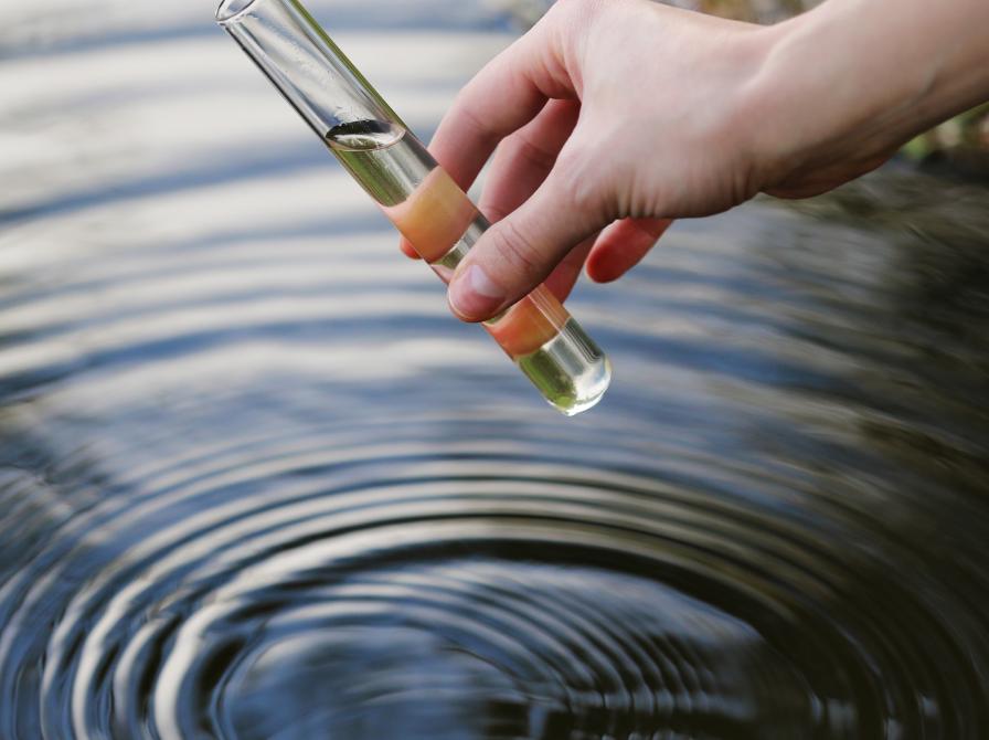 Der tages en vandprøve fra en sø i et reagensglas