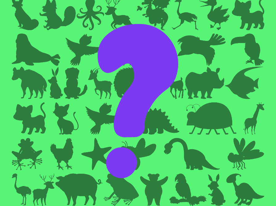 silhuetter af forskellige dyr dækket af et stort spørgsmålstegn